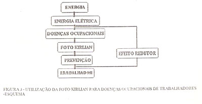 Figura 3 Página 4