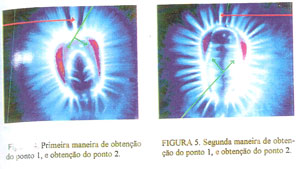 Figuras 4 e 5 pg.34