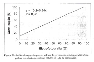 Figura 20