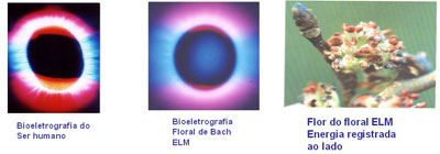 Casuística