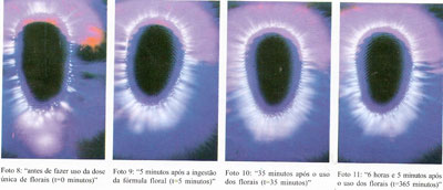 Fotos 08, 09, 10, 11