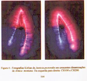 Figura 4 pg 164